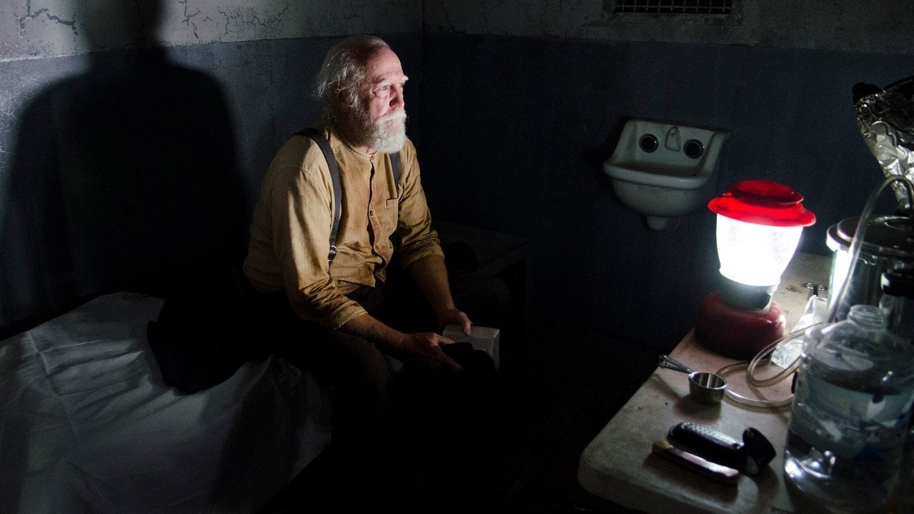 The Walking Dead {se_code} - Gdzie obejrzeć? - Vider