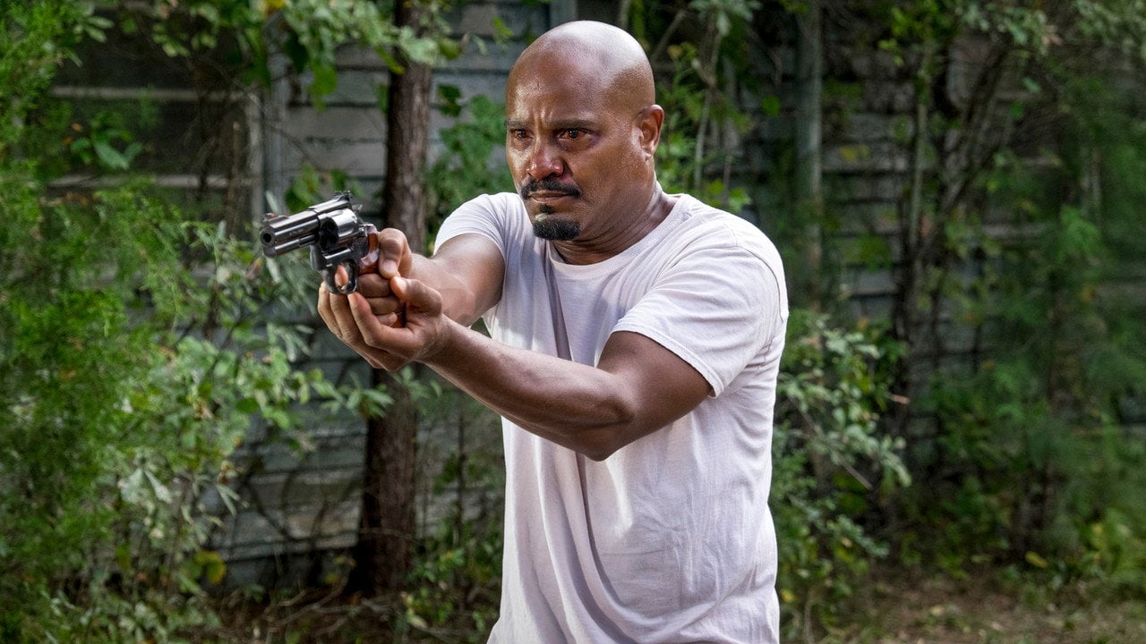 The Walking Dead {se_code} - Gdzie obejrzeć? - Vider