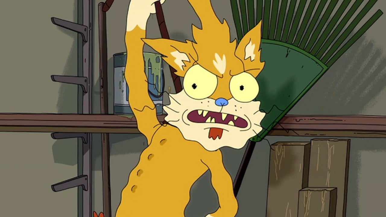 Rick i Morty {se_code} - Gdzie obejrzeć? - Vider