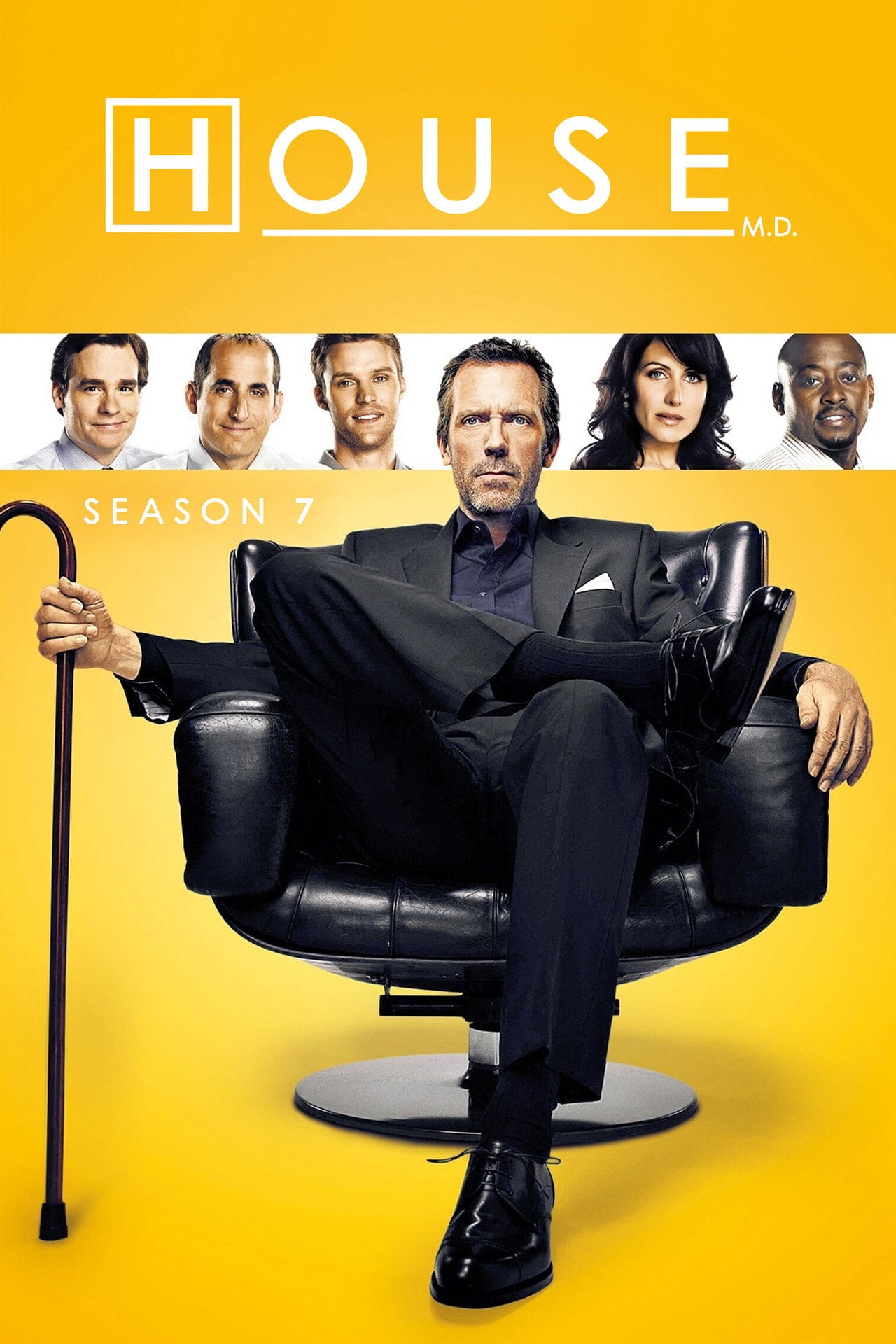 Dr House - Sezon 7 - Gdzie obejrzeć? – Vider