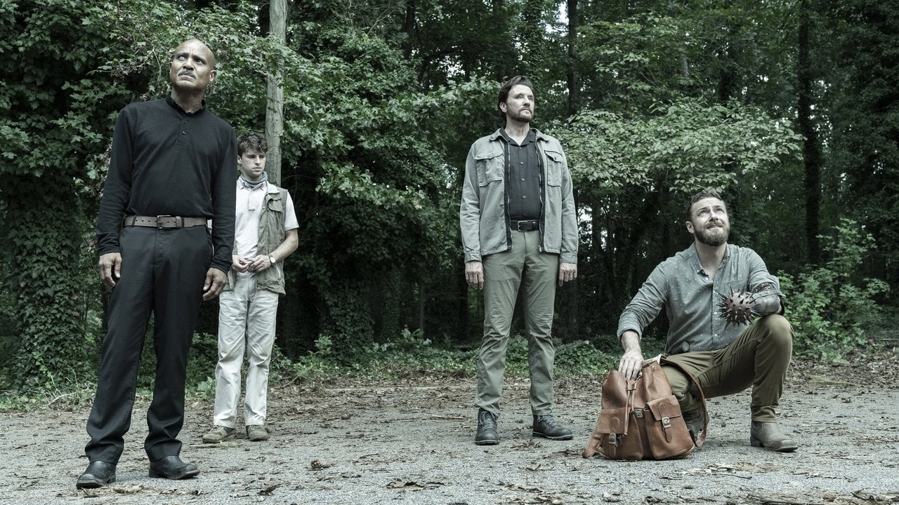 The Walking Dead {se_code} - Gdzie obejrzeć? - Vider