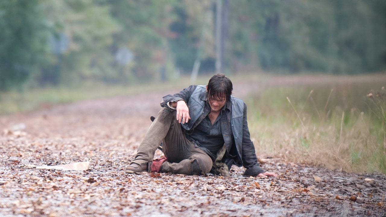 The Walking Dead {se_code} - Gdzie obejrzeć? - Vider