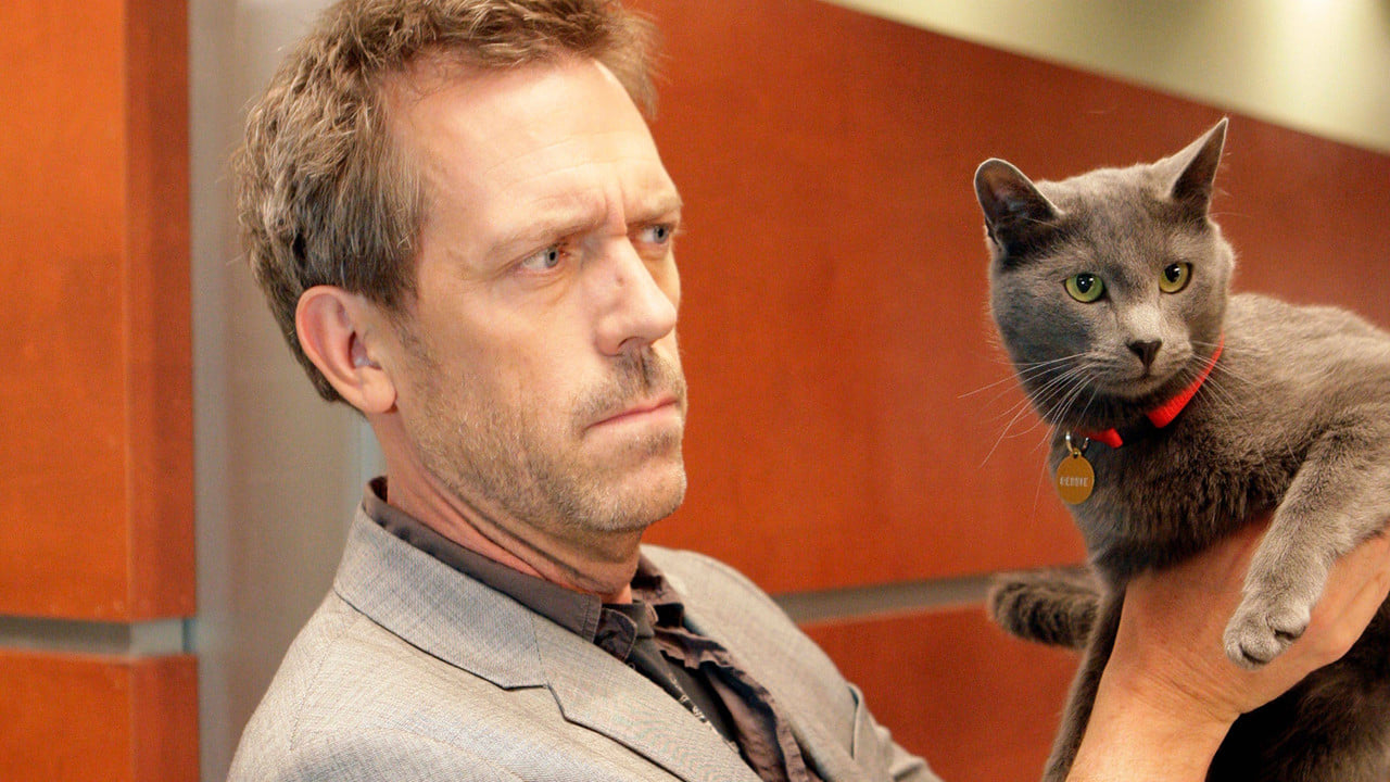 Dr House {se_code} - Gdzie obejrzeć? - Vider