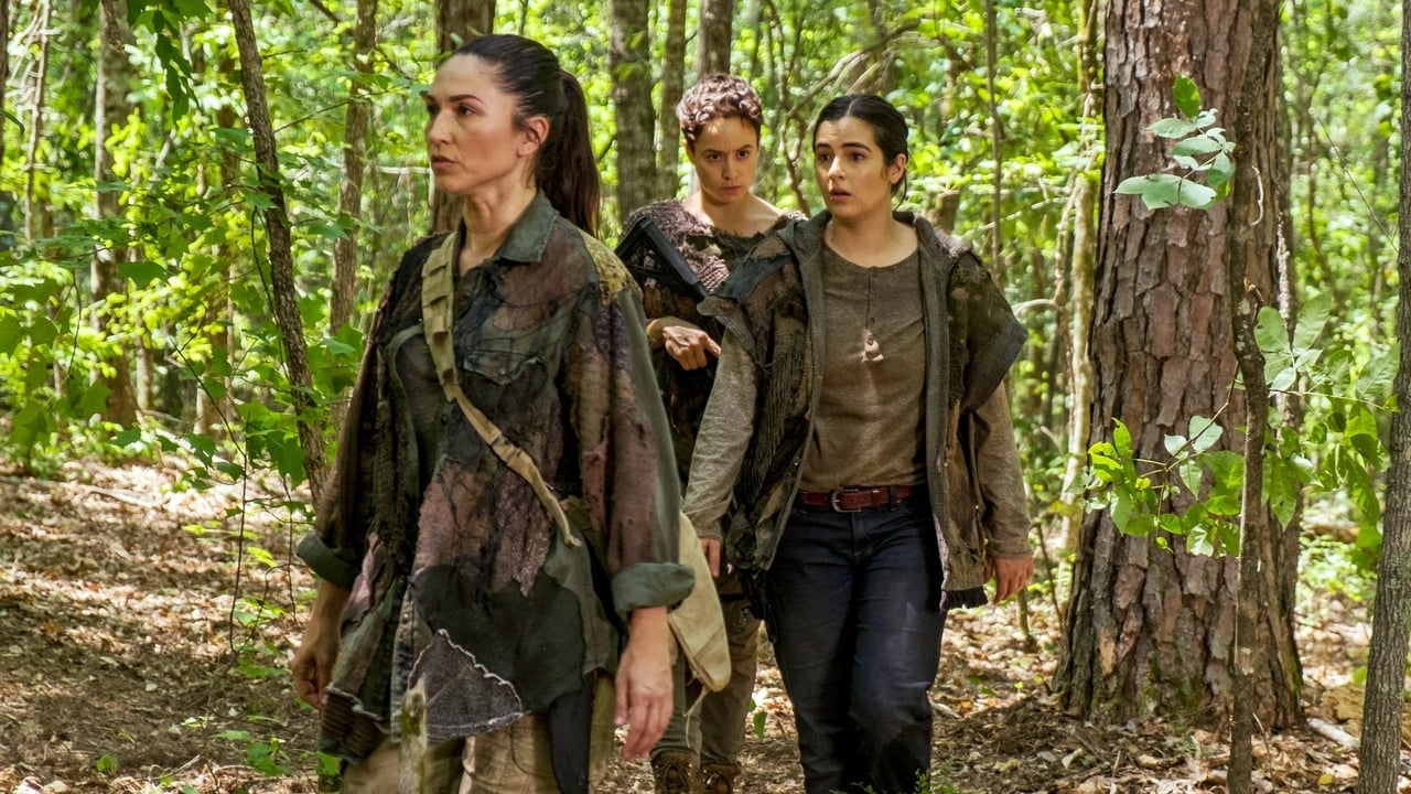 The Walking Dead {se_code} - Gdzie obejrzeć? - Vider