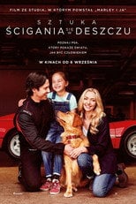 Sztuka ścigania się w deszczu (2019) - Vider