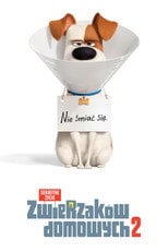 Sekretne życie zwierzaków domowych 2 Cały Film (2019) - Vider