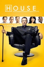 Dr House - Sezon 7 - Gdzie obejrzeć? – Vider