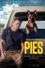 Pies Cały Film (2022) - Vider