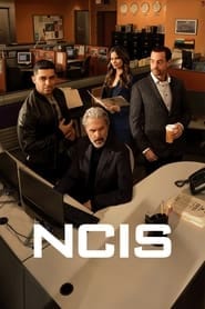 Serial Agenci NCIS (2003) Online - Vider