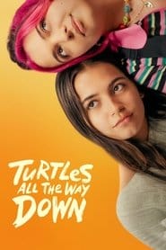 Żółwie aż do końca Cały Film (2024) - Vider