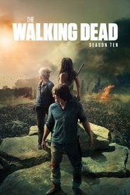 The Walking Dead - Sezon 10 - Gdzie obejrzeć? – Vider