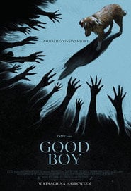 Good boy Cały Film (2025) - Vider