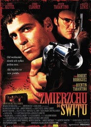 Od zmierzchu do świtu Cały Film (1996) - Vider