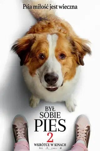 Był sobie pies 2 Cały Film (2019) - Vider