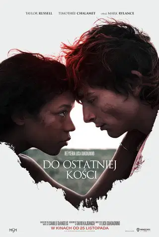 Do ostatniej kości Cały Film (2022) - Vider