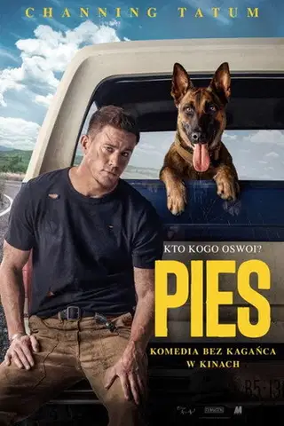 Pies Cały Film (2022) - Vider