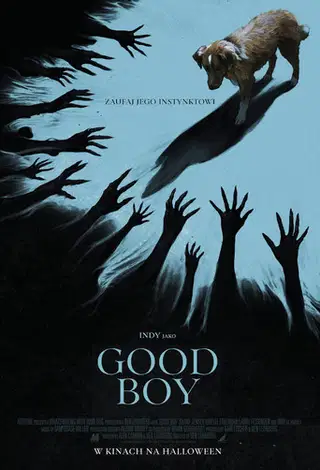 Good boy Cały Film (2025) - Vider