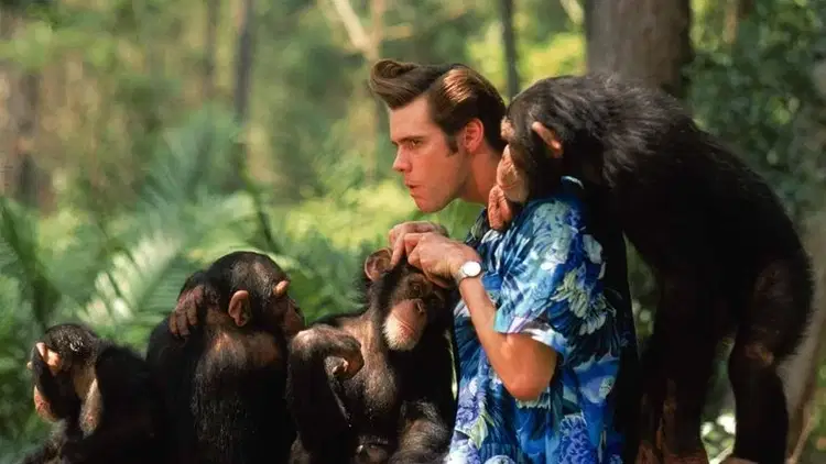 Ace Ventura: Zew natury Cały Film (1995) - Vider