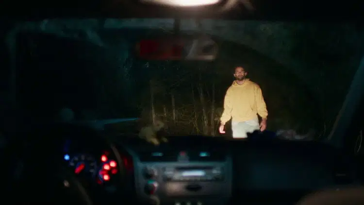Pasażer Cały Film (2026) - Vider