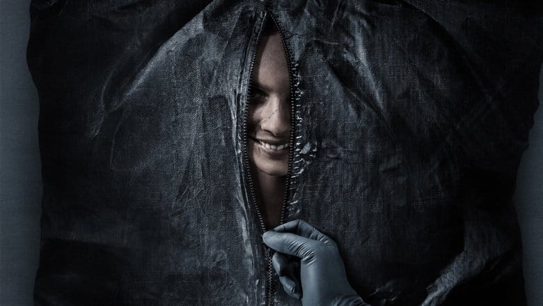 Uśmiechnij się Cały Film (2022) - Vider