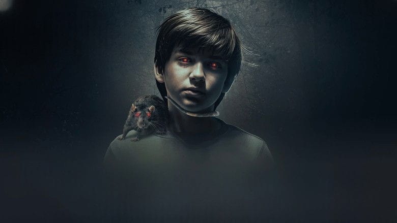 Wyznanie Cały Film (2026) - Vider