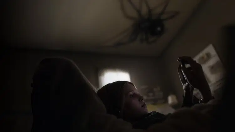 Gniazdo pająka Cały Film (2024) - Vider