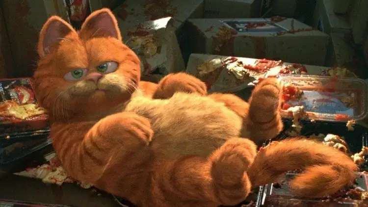 Garfield Cały Film (2004) - Vider