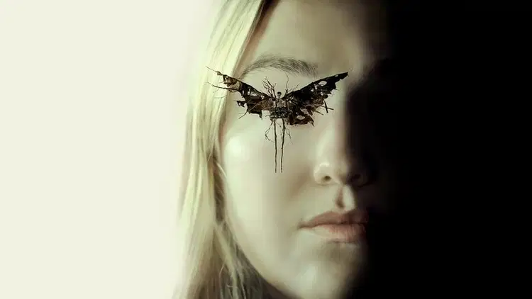 The Watchers Cały Film (2024) - Vider