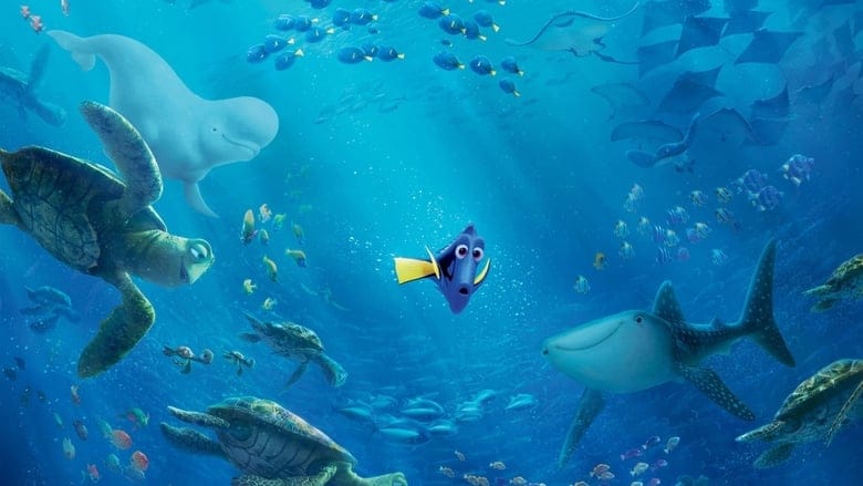 Gdzie jest Dory Cały Film (2016) - Vider