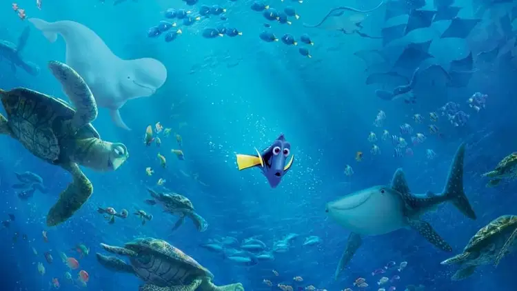 Gdzie jest Dory Cały Film (2016) - Vider
